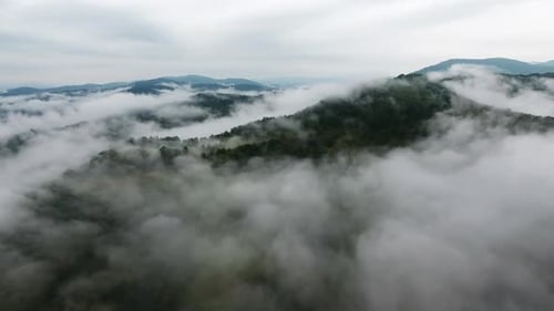 Flying Above Clouds Forest Mountain