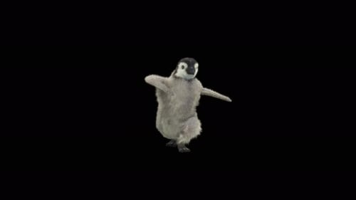 Penguin Dancing 4K