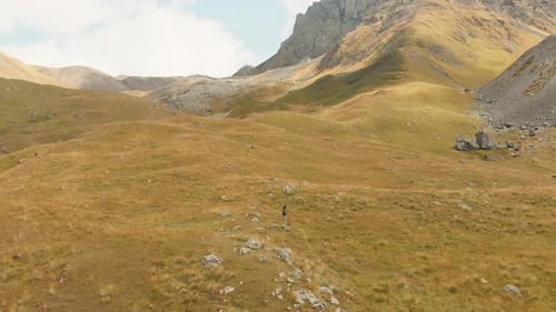 Hiker Walks Golden Field Surrounded by Mountains