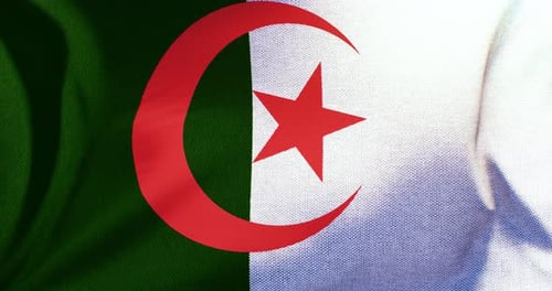Realistic Algeria Flag Waving Seamless Loop