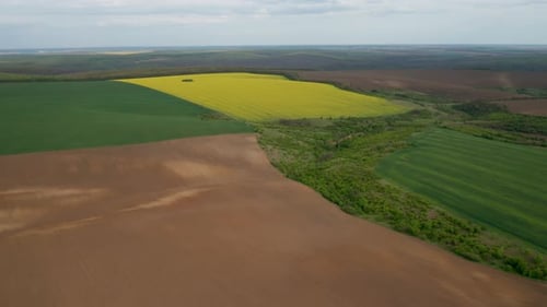 Rural area with yellow and green fields