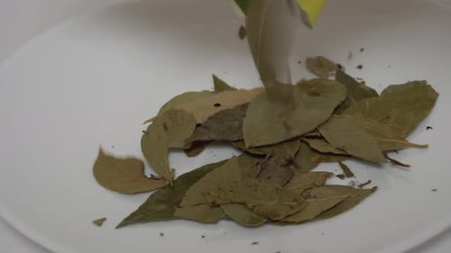 Bay Leaves Were Poured Onto a White Plate with the Desired Seasoning
