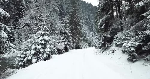 Beautiful Aerial View of Winter Nature Dense Snowy Forest with a Country Road Running Through