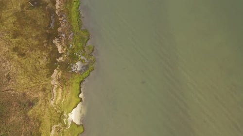 top down drone camera view of the shoreline in a marsh area, on a cloudy day. Green waters in the ch
