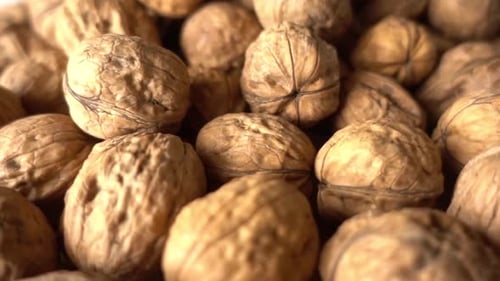Nuts
