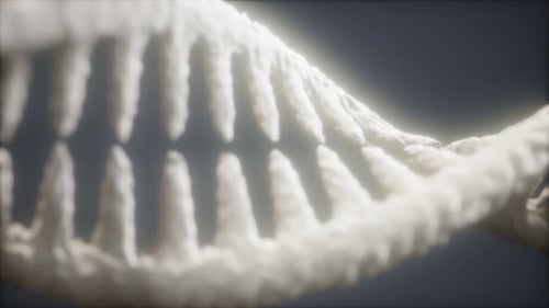 DNA Molecule on the Grey Background