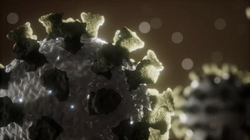 Corona Virus Covid 19 Macro Model