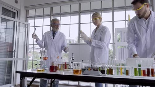 Scientists Working Together in Bright Lab Environment