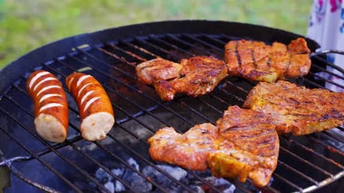 Different Types of Juicy Meats on Hot Coals on Grill in Garden