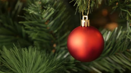 Close Up of Red Christmas Ornament on Tree