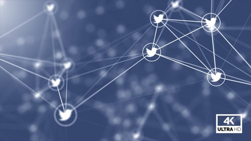 Datennetzwerke Twitter Plexus Hintergrund Looped V2