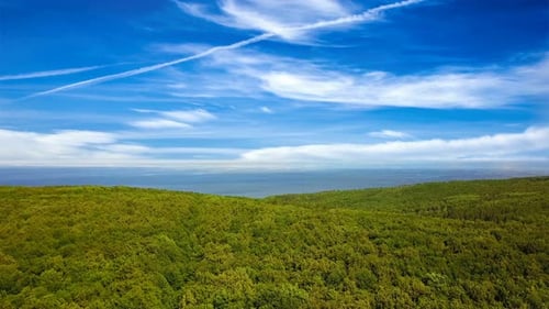 Sea And Forest
