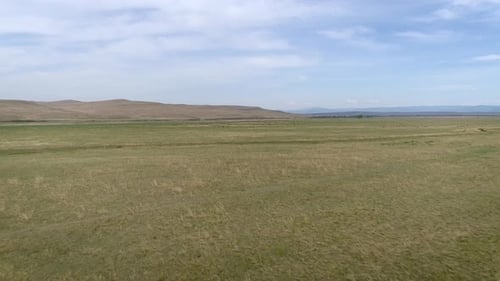 Spring Steppe In Siberia