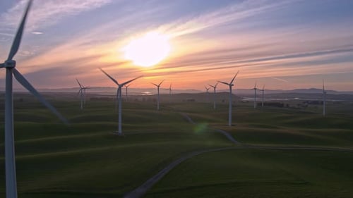 Wind Farm in the Setting Sun