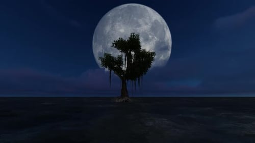 Trees grow in the middle of the sea at night