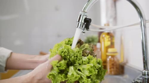 Close up of Woman Hand Washing a Fresh Vegetables
