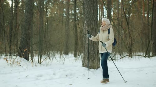 Active Senior Nordic Walking Through Winter Forest