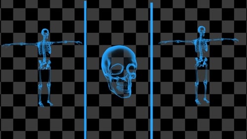 3D X-Ray Holographic Skeleton and Skull Scan Animation