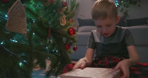 Boy Excitedly Opens Christmas Gift by Tree