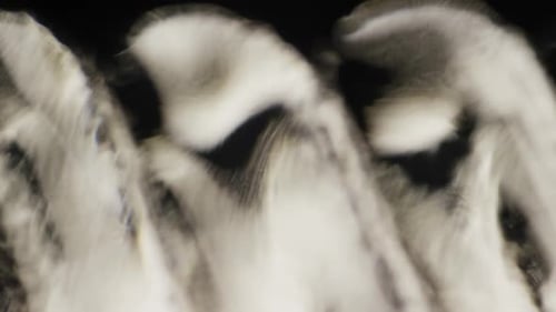 Abstract Light Effects Over Black Background
