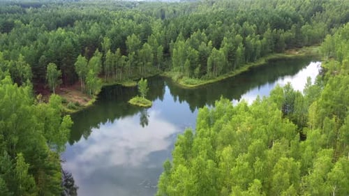 Aerial view of a forest lake with small island.