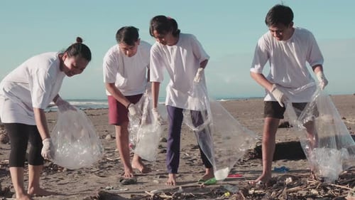 Menschen reinigen Strand vom Müll