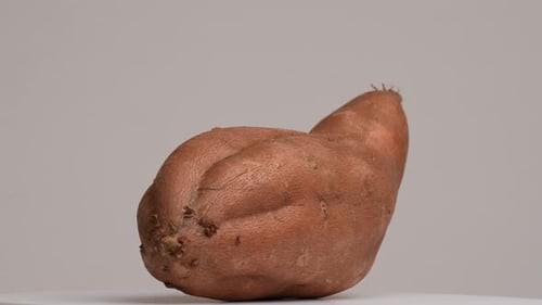 Sweet Potato Rotating Close Up
