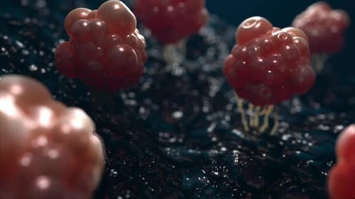 Abstract Microscopic Cell Movement in Fluid Animation