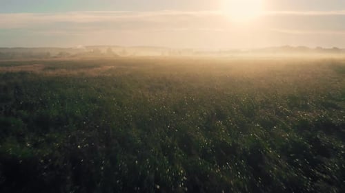 Fog Sun Mountains Field Smoke Dawn Sunset Summer
