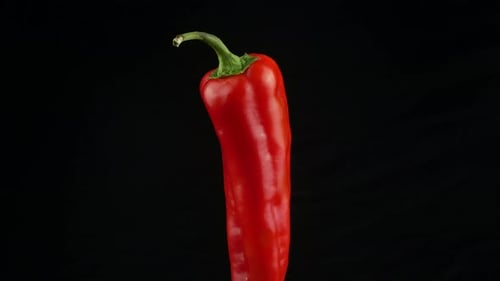 Vivid Red Pepper Rotating on Black Background