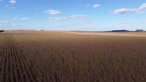 Aerial View of Large Agricultural Field Landscape