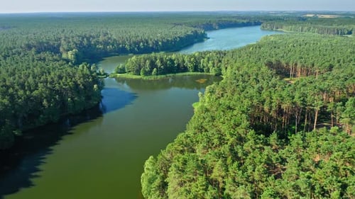 Lake and forest in spring. Aerial view of nature, Poland.