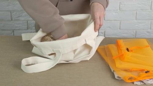 Concepto de bolsas de compras ecológicas