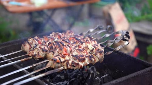 Primer plano de Shashlik tostado en brochetas. Suculentos asados a la barbacoa en Chargrill. Concepto de picnic