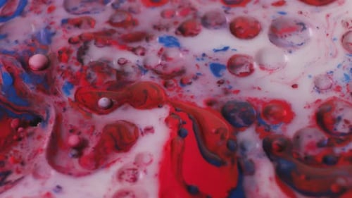 Bubbles of Oil in Liquid Paint and White Milk Create a Stunning View Like the Movement of Stars in