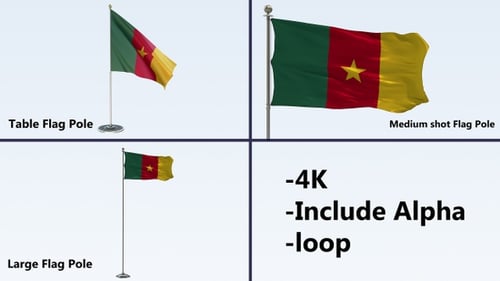 Cameroon National Flag Waving Animation with Alpha Channel