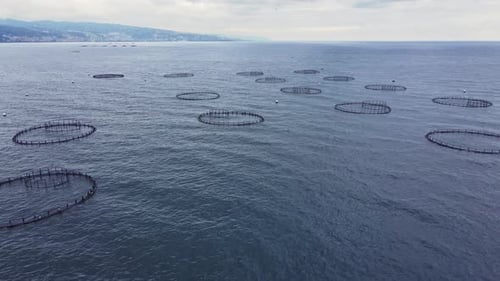 Aquaculture fish farm in sea for providing farmed fish