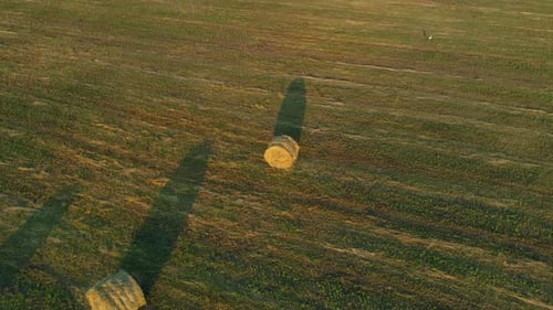 Aerial View Hay Bales at Agricultural Field in Summer at Sunset Haystack
