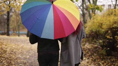 Rückansicht eines jungen Paares, das zusammen im Herbstpark spazieren geht und einen bunten Regenschirm hält und sich dreht