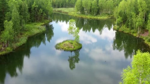 Aerial view of a forest lake with small island.
