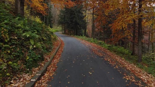 Autumn Mountain Road