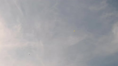 Viele Fallschirmspringer fliegen gegen den Himmel Extremsport-Fallschirmspringer
