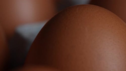 Tray of Eggs 36