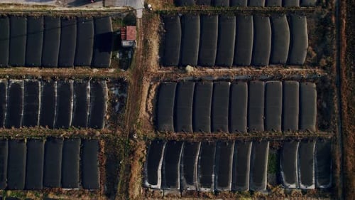 Round Polls in Wastewater Treatment Plant Filtration of Dirty or Sewage Water