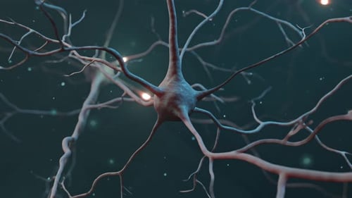 Neural Network Animation with Electrical Impulses