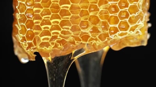 Cera de
nido de abeja con miel. Miel que gotea de Honey Comb.