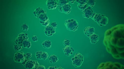 Floating Green Microscopic Organisms Background Animation