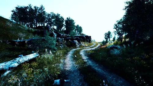 Country Road in a Deciduous Forest on a Foggy Morning