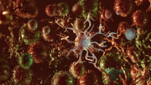 Animated 3D Microscopic Neuron and Cells