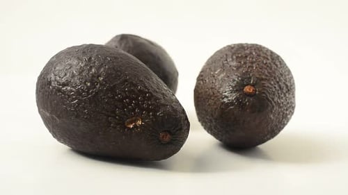 Avocado 13